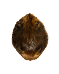 Echte Biberfelle kaufen bei Swisskulls – hochwertiges naturbelassenes Biberfell
