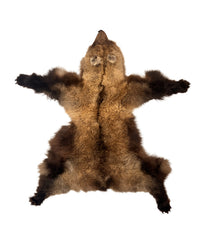 Grizzlybärenfell