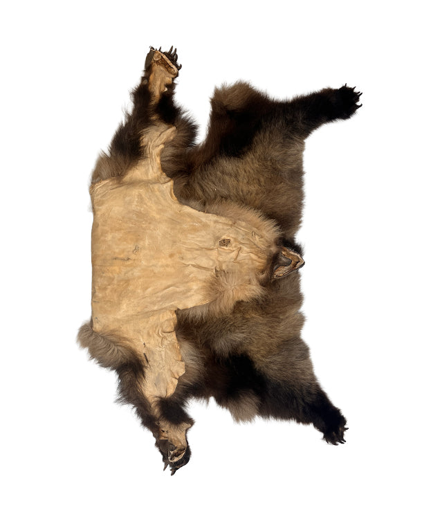 Grizzlybärenfell