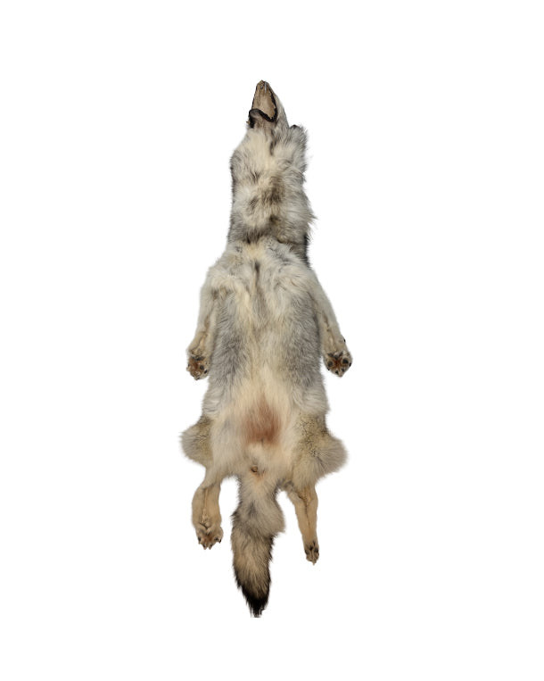 Genuine Arctic Wolf Fur Round 