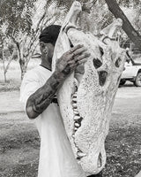 XXL Grosse Krokodil Schädel kaufen bei SWISSskulls