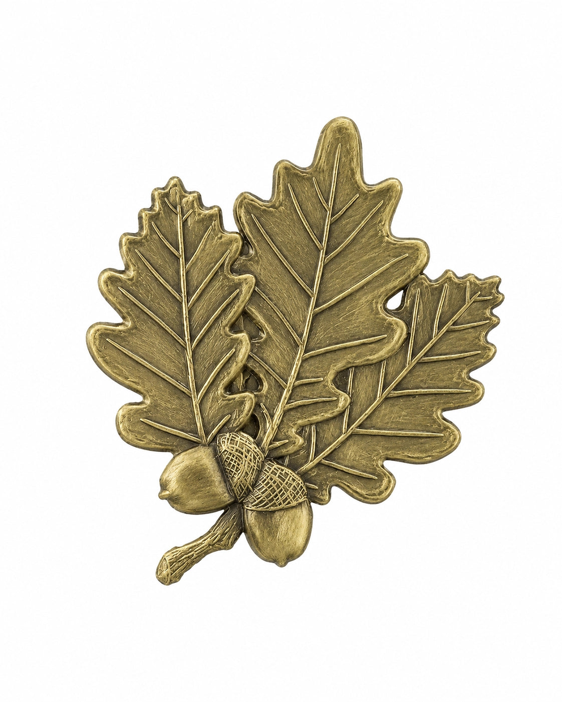 Feuilles de chêne en bronze 