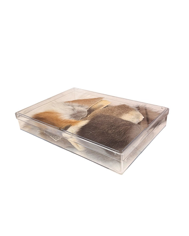 Fellstücke einheimischer Tiere Set beschriftet 10x10 cm