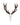 Rothirsch Geweih kaufen – exklusive Hirschgeweihe und Jagdtrophäen bei SWISSskulls online bestellen