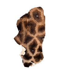 Véritable fourrure de girafe