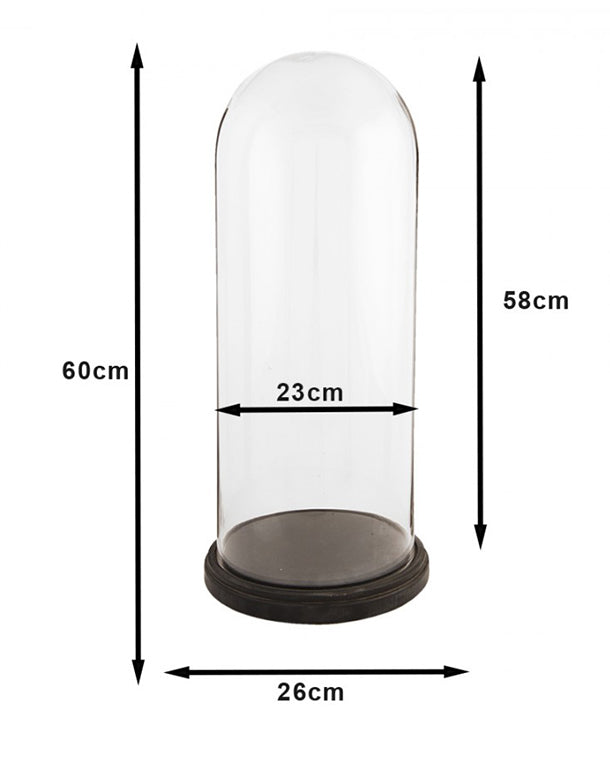 Glaskuppel 26x60cm