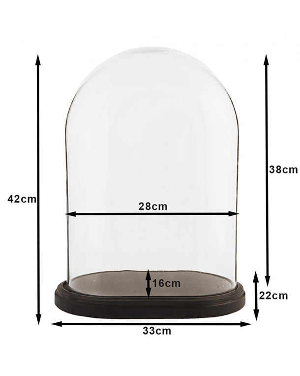 Dôme en verre 33x22x42cm