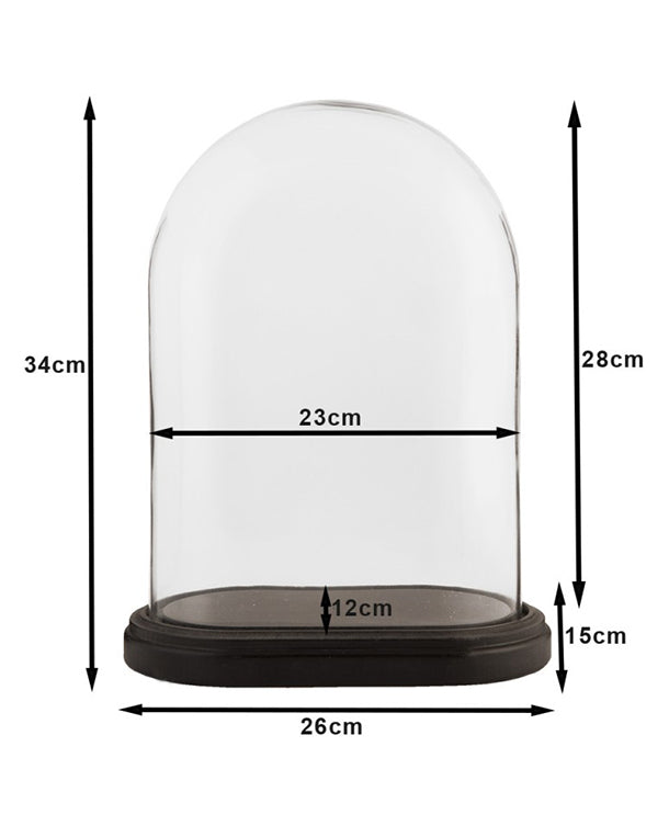 Glaskuppel 26x15x34cm