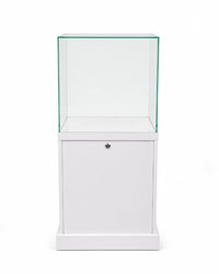 Hochwertige Glasvitrine zur Präsentation von Schädeln und Sammlerstücken