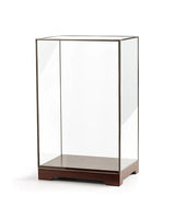 Hochwertige Tischvitrine zur Präsentation von Schädeln und Sammlerstücken