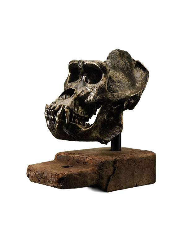 replica gorilla skull