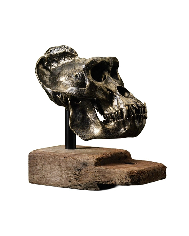replica gorilla skull