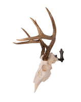 deer antler wall mount