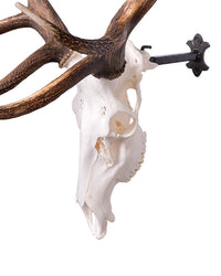 Deer antler wall mount (extended)