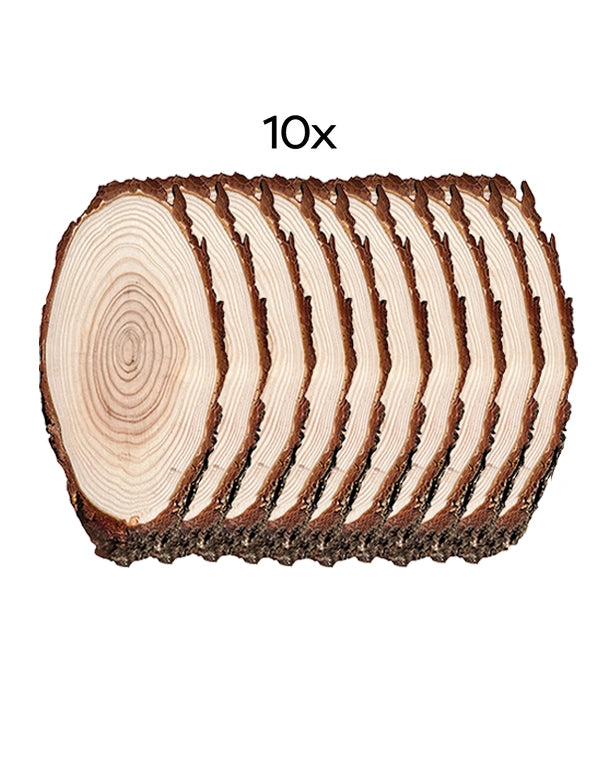 Lärche Trophäenschilder 20×10 cm 10er Set