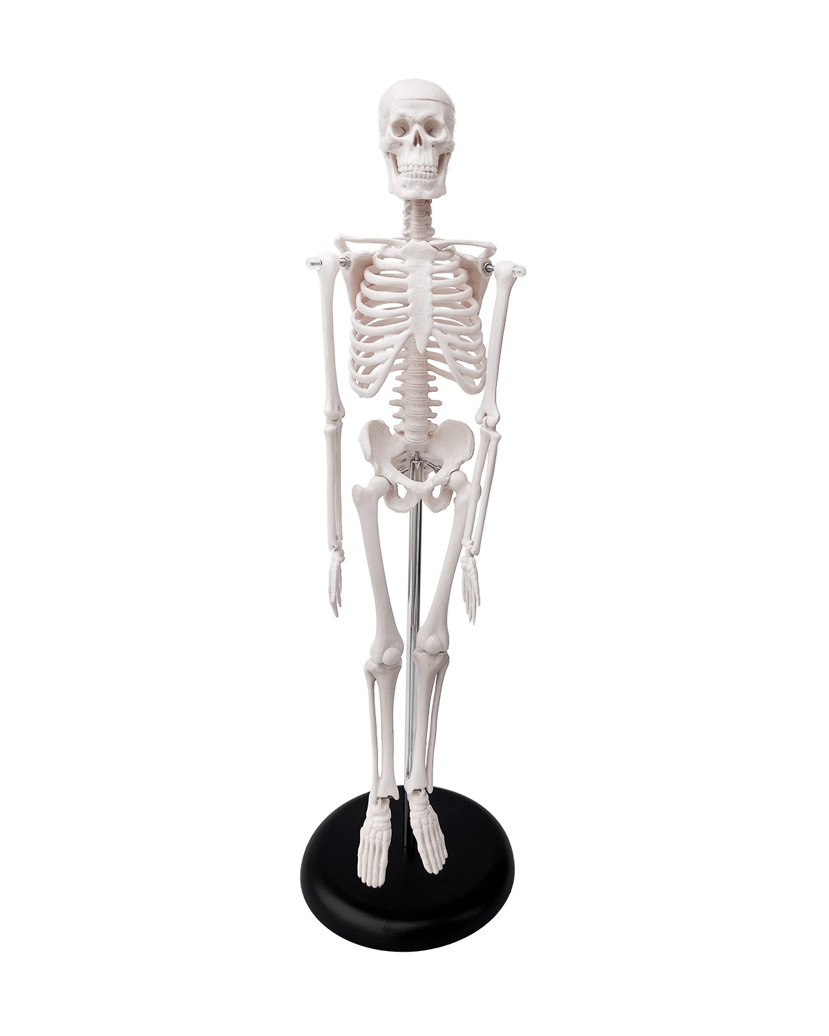 mini-skeleton
