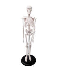 mini-skeleton
