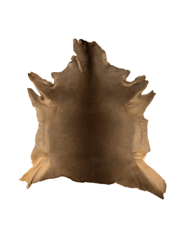 Buy deer hide | Sustainable Swiss product – SWISSskulls International