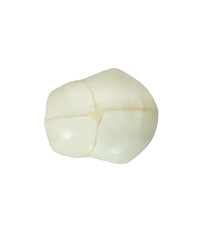 Lehrmodell Fetusschädel 40 Wochen mit Fontanellen und Schädelbasisöffnungen