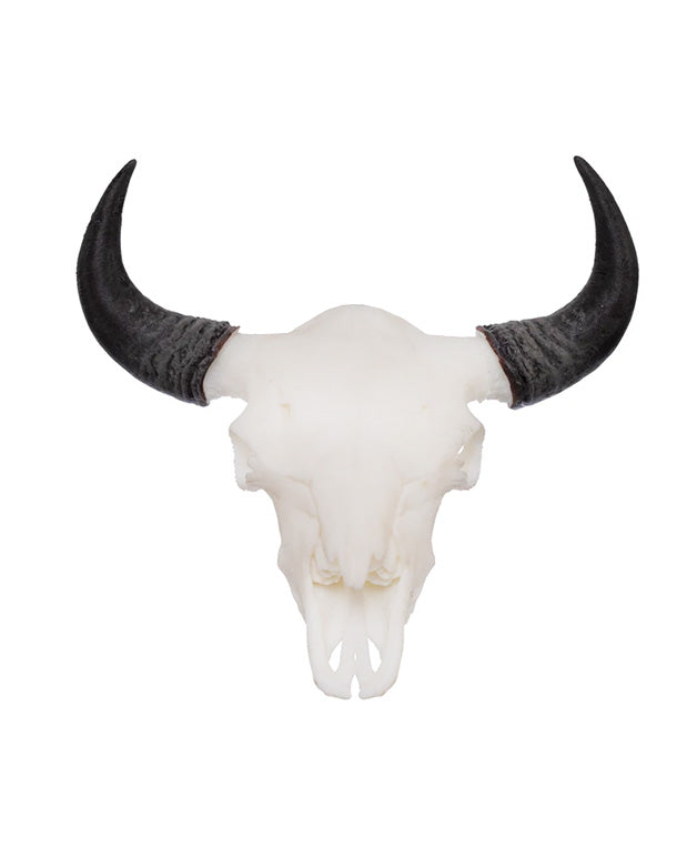 SKULLIES Miniatur Bison Schädel