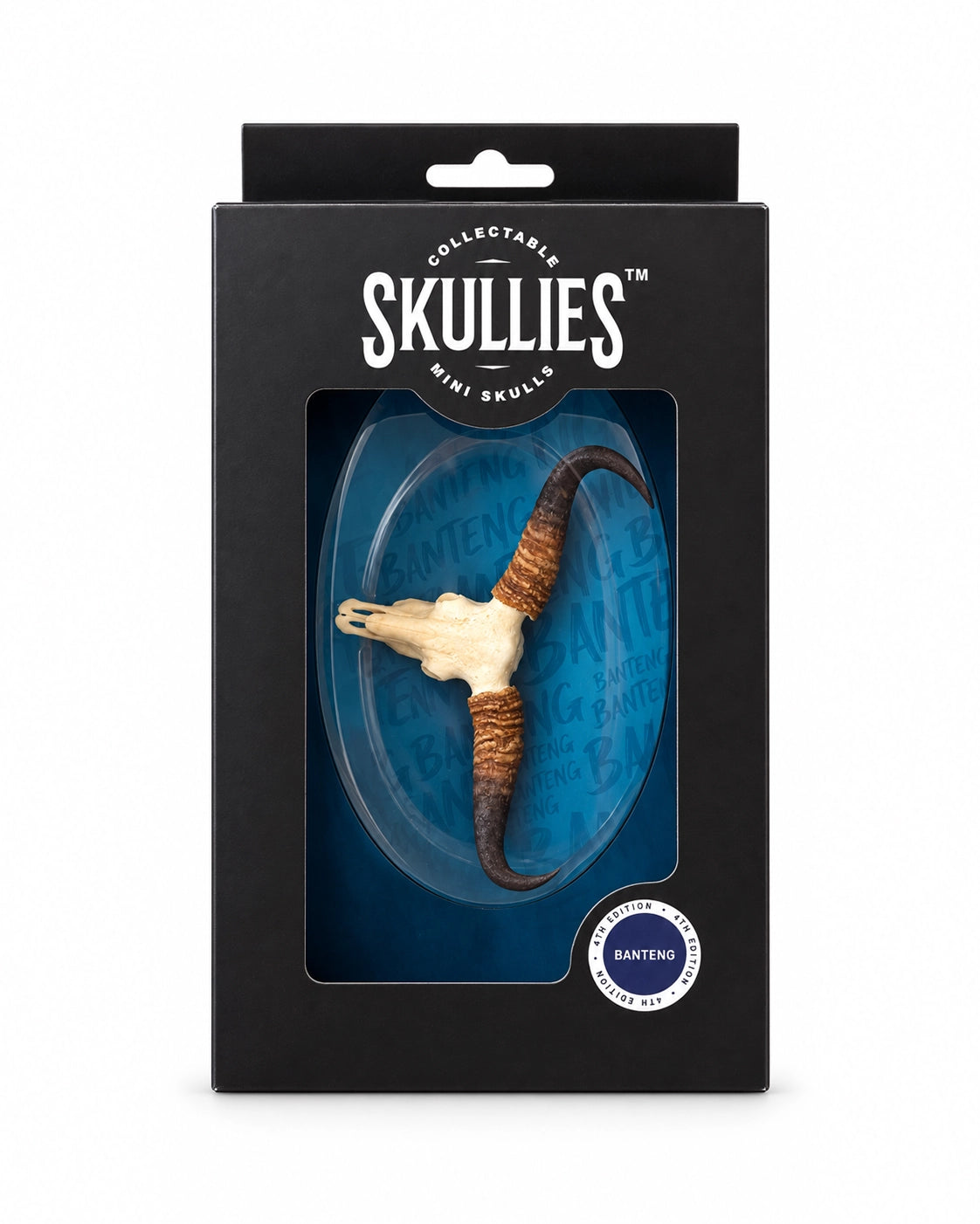 SKULLIES Banteng Miniaturschädel der vierten Edition in schwarzer Verpackung mit Sichtfenster