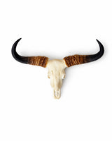 SKULLIES Banteng Miniaturschädel in Vorderansicht mit braunen Hornansätzen und schwarzen Hornspitzen