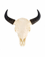SKULLIES Teschio di bisonte in miniatura