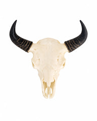 SKULLIES Teschio di bisonte in miniatura