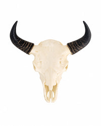 SKULLIES Teschio di bisonte in miniatura