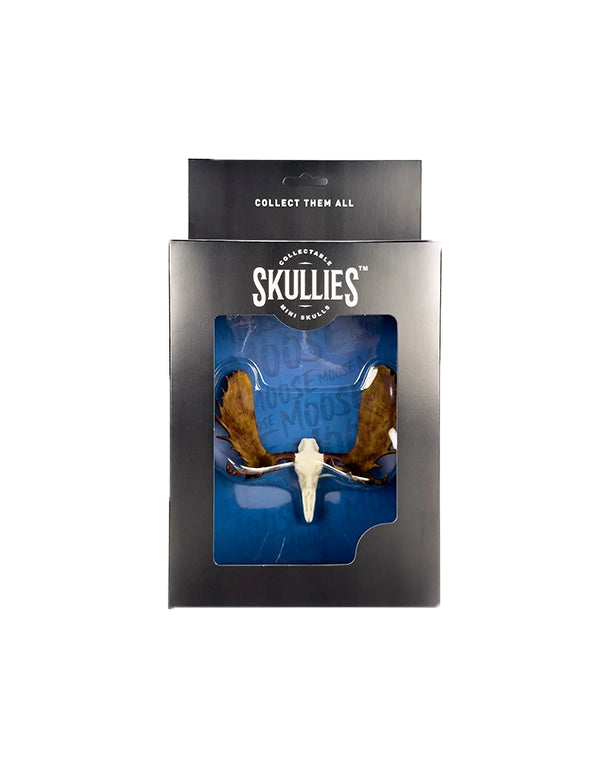 SKULLIES Miniatur Elch Schädel