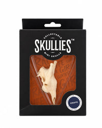 SKULLIES Miniatuur Giraffenschedel
