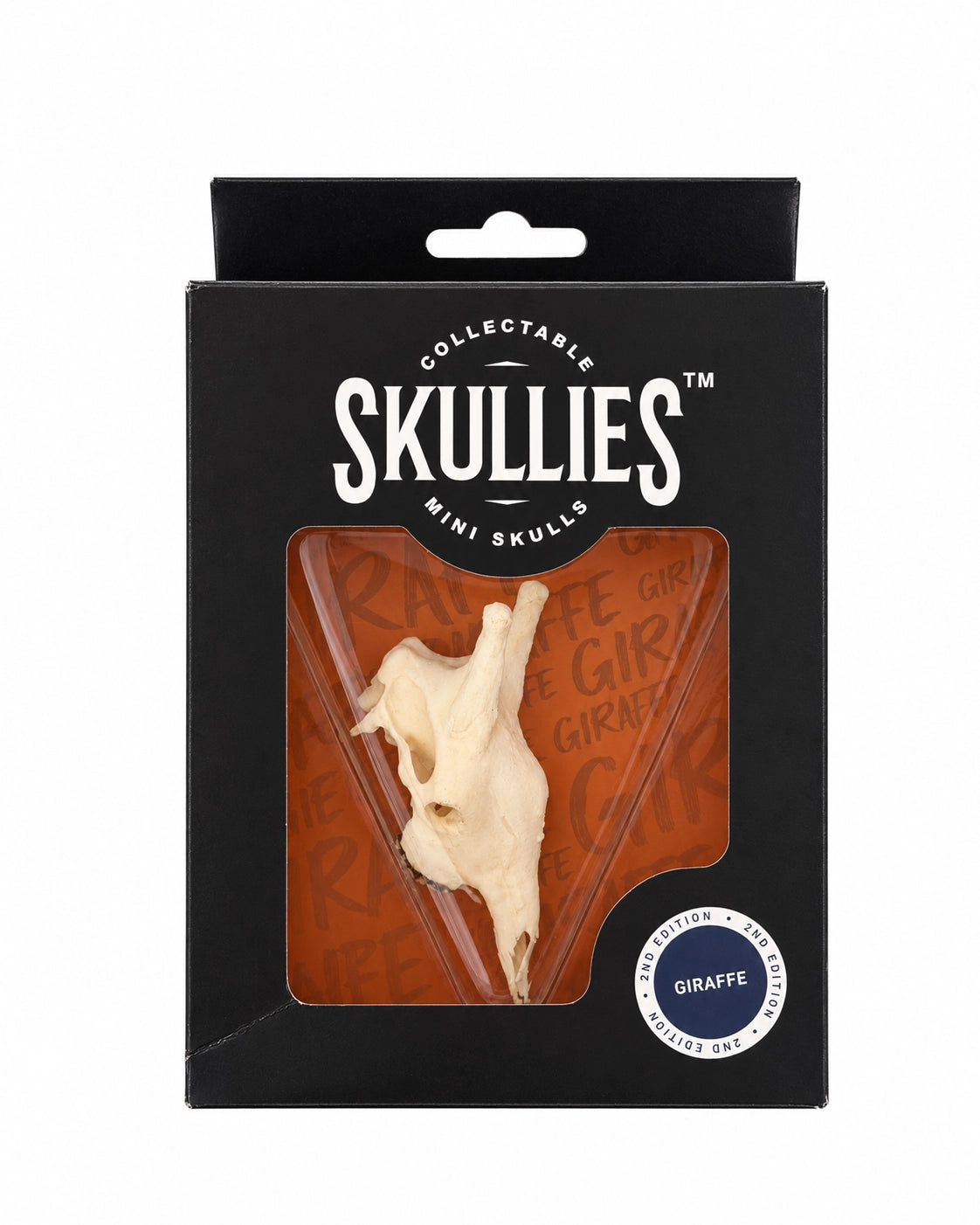 SKULLIES Miniatuur Giraffenschedel