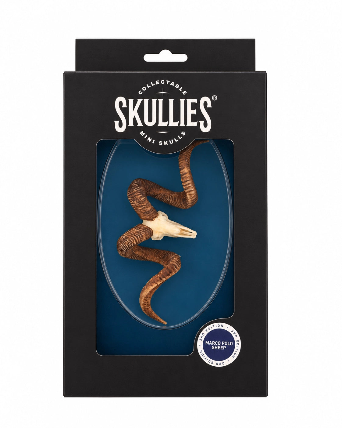 SKULLIES Miniatur Marco Polo Schädel