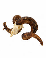 SKULLIES Miniatur Marco Polo Schädel