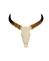 SKULLIES Miniatur Nguni Schädel