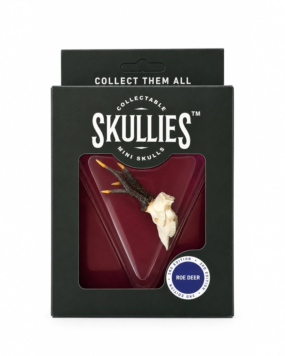 SKULLIES Miniatur-Rehbockschädel in Originalverpackung auf weissem Hintergrund
