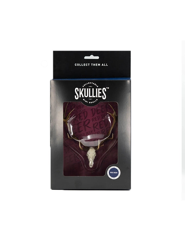 SKULLIES Miniatur Rothirsch Schädel