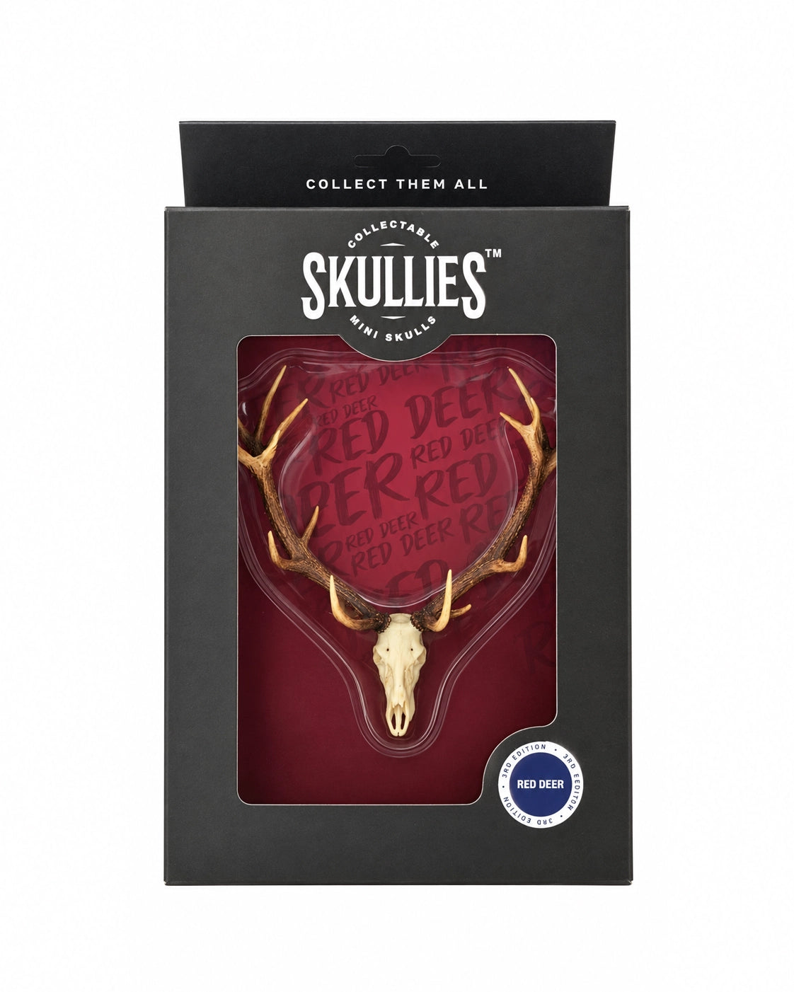 SKULLIES Miniature Red Deer Skull