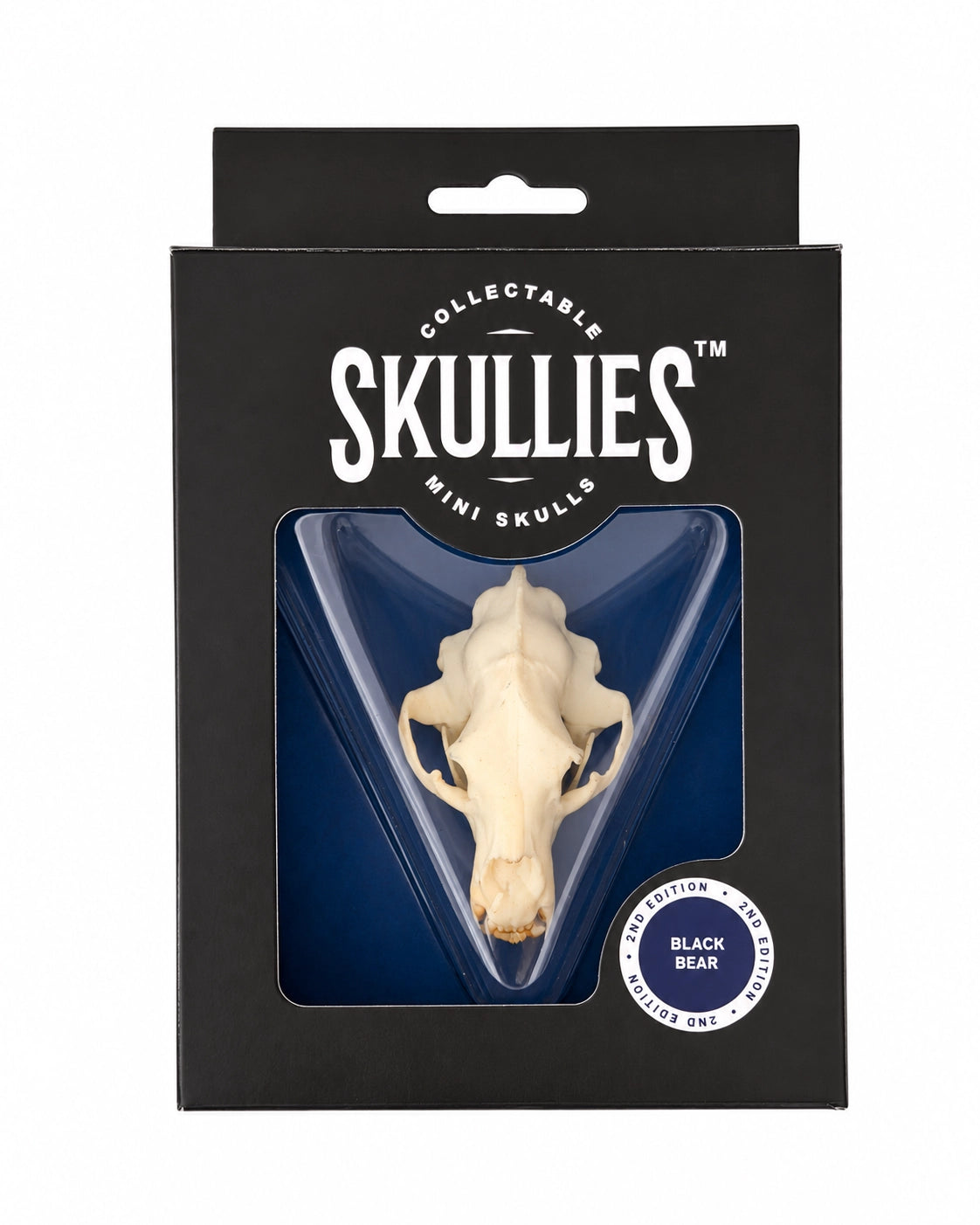 SKULLIES Miniature Black Bear Skull