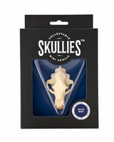 Teschi miniaturizzati di orsi neri SKULLIES