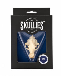Teschi miniaturizzati di orsi neri SKULLIES