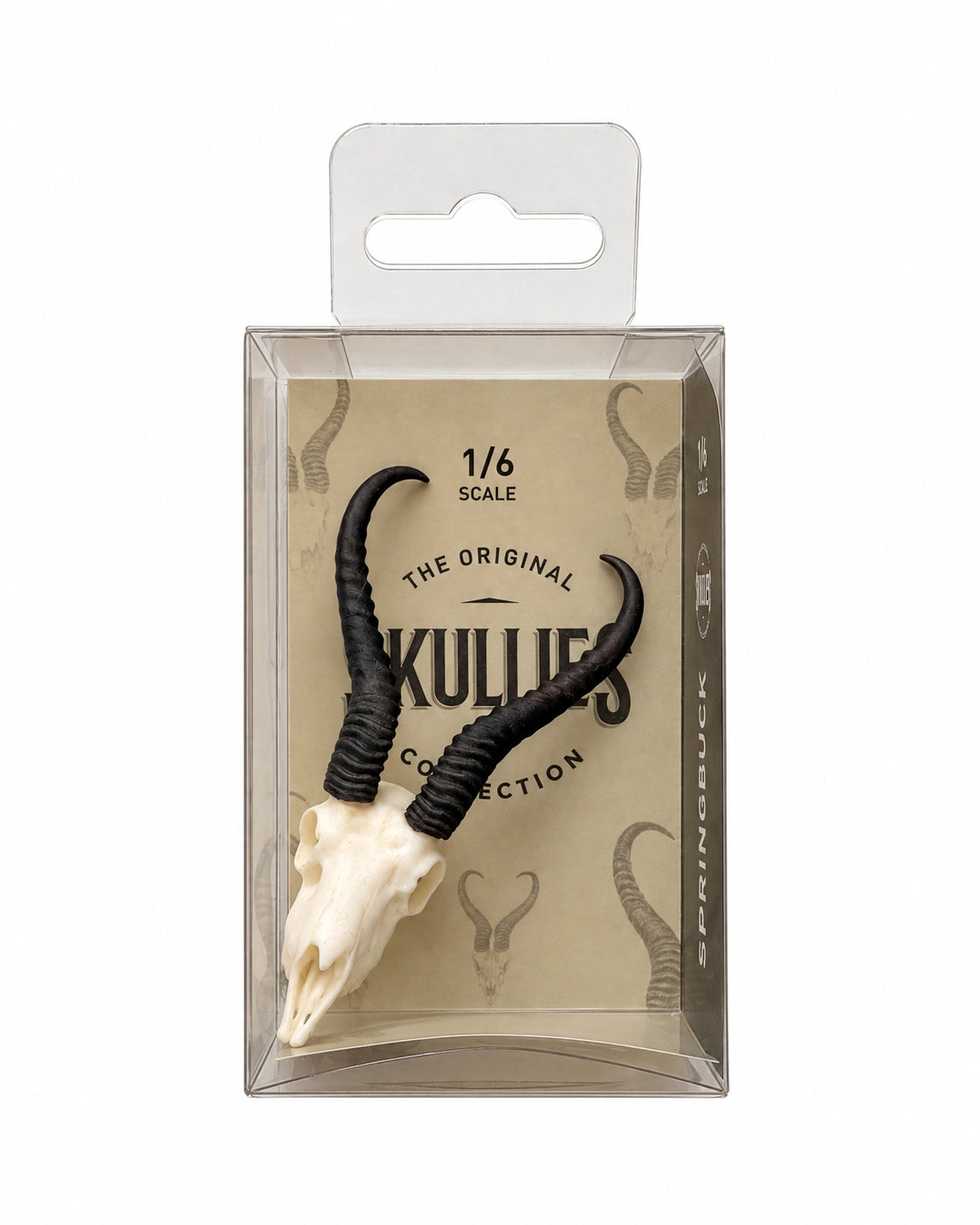 SKULLIES Miniatur Springbock Schädel