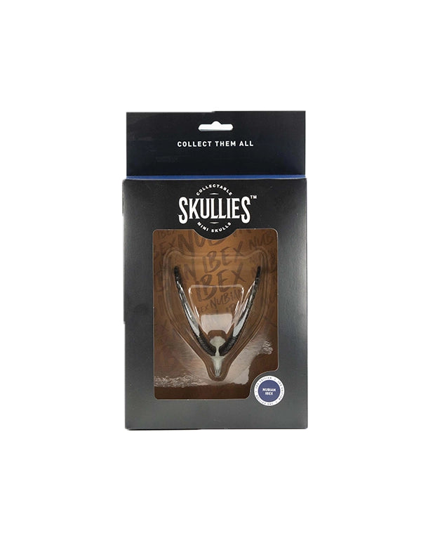 SKULLIES Miniatur Steinbock Schädel