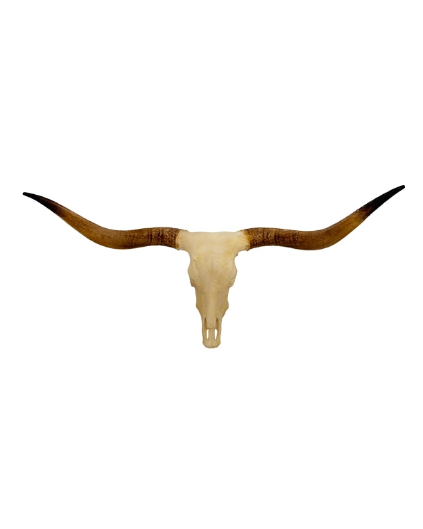 SKULLIES Miniatur Texas Longhorn Schädel