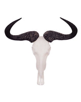 SKULLIES Miniature Blue Wildebeest Skull 