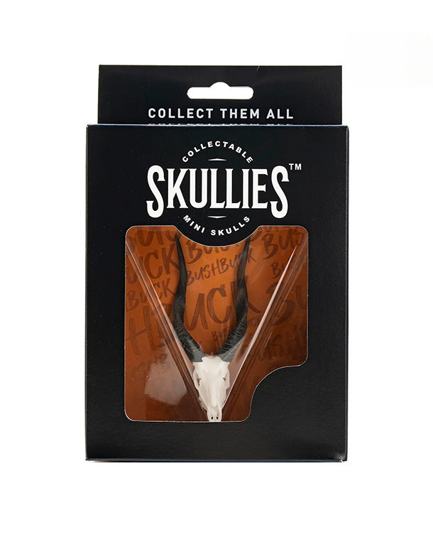 SKULLIES Miniature Bushbuck Skull 