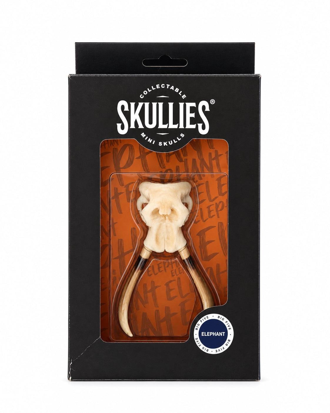 SKULLIES Miniatur Elefanten Schädel