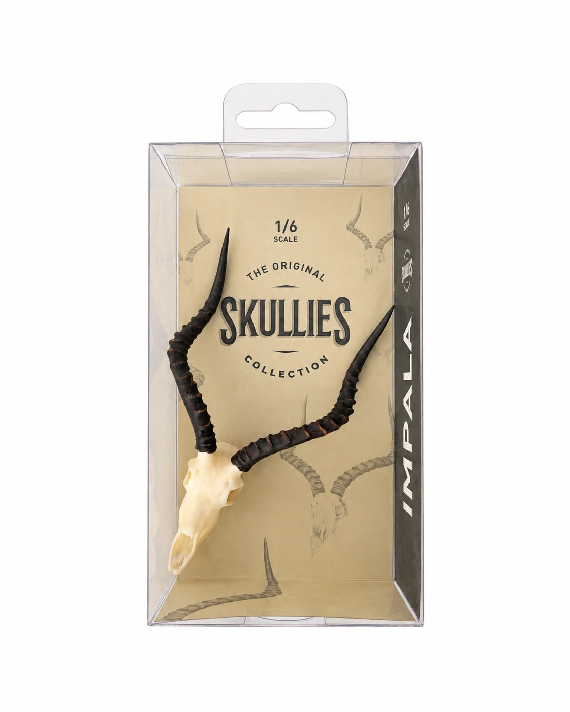 SKULLIES Miniatur Impala Schädel