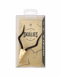 SKULLIES Miniatur Impala Schädel