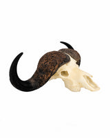 SKULLIES Miniatura teschio di bufalo del Capo